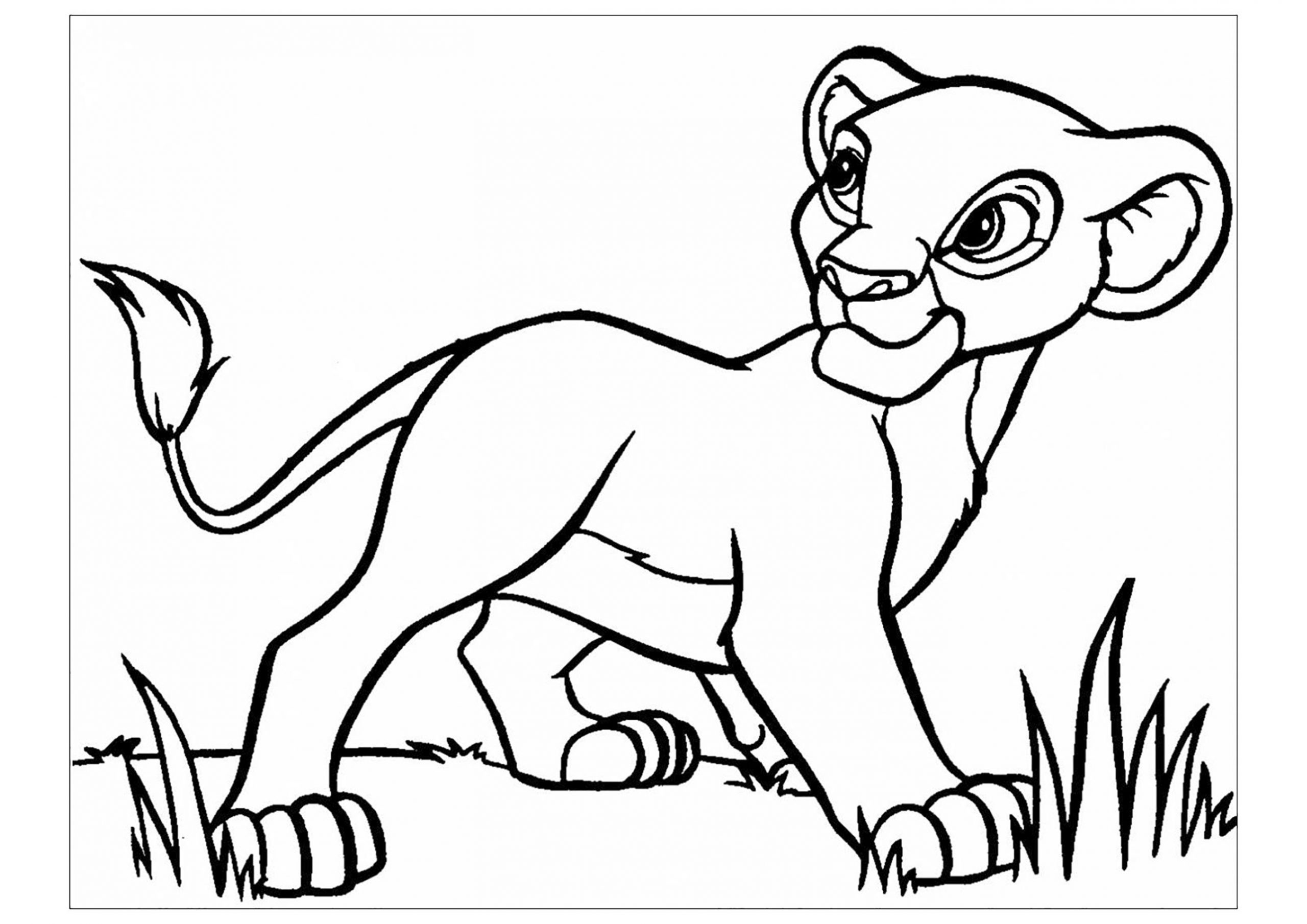 image=le roi lion coloriage enfant le roi lion 10 1