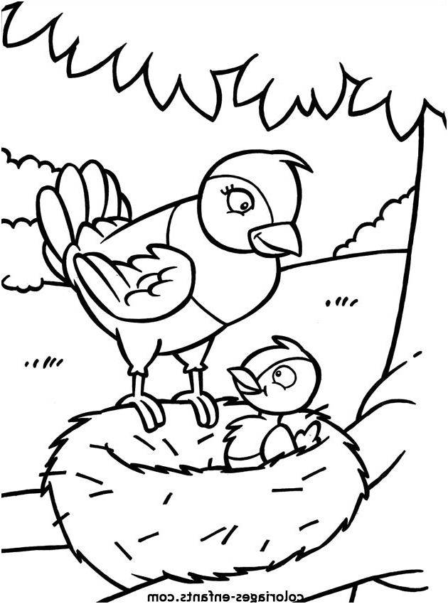 dessin oiseaux maternelle
