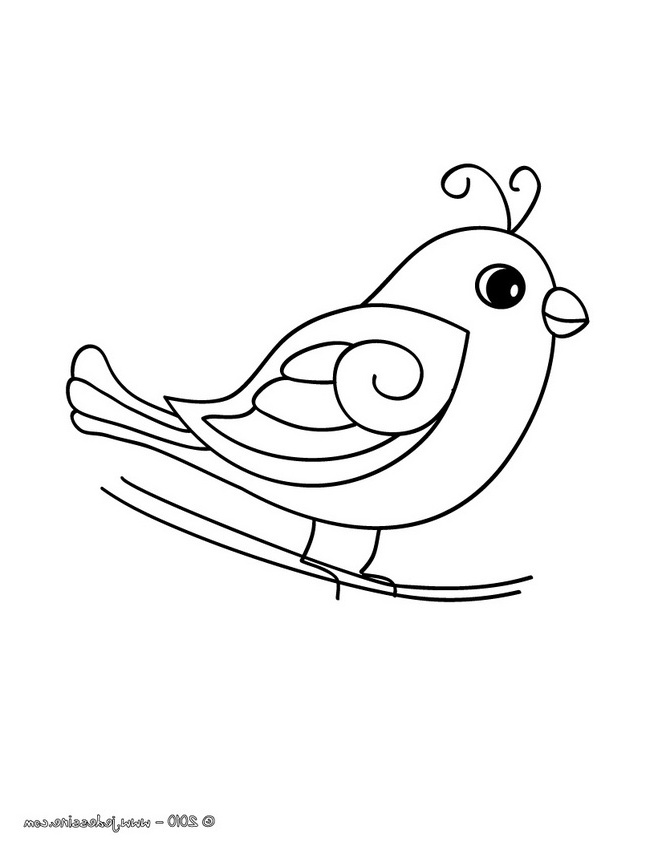 oiseau dessin