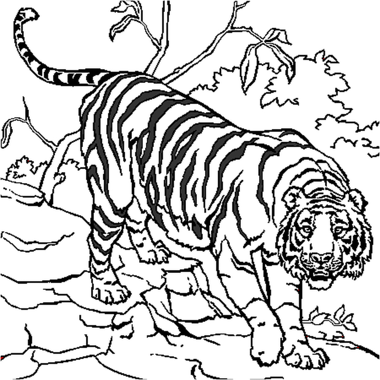 coloriage tigre mandala