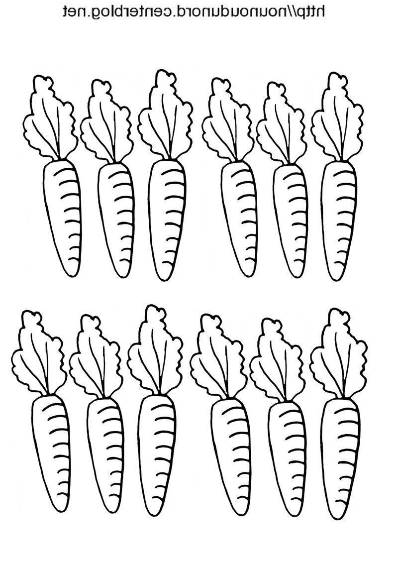 1844 coloriage de carottes dessine par nounoudunord