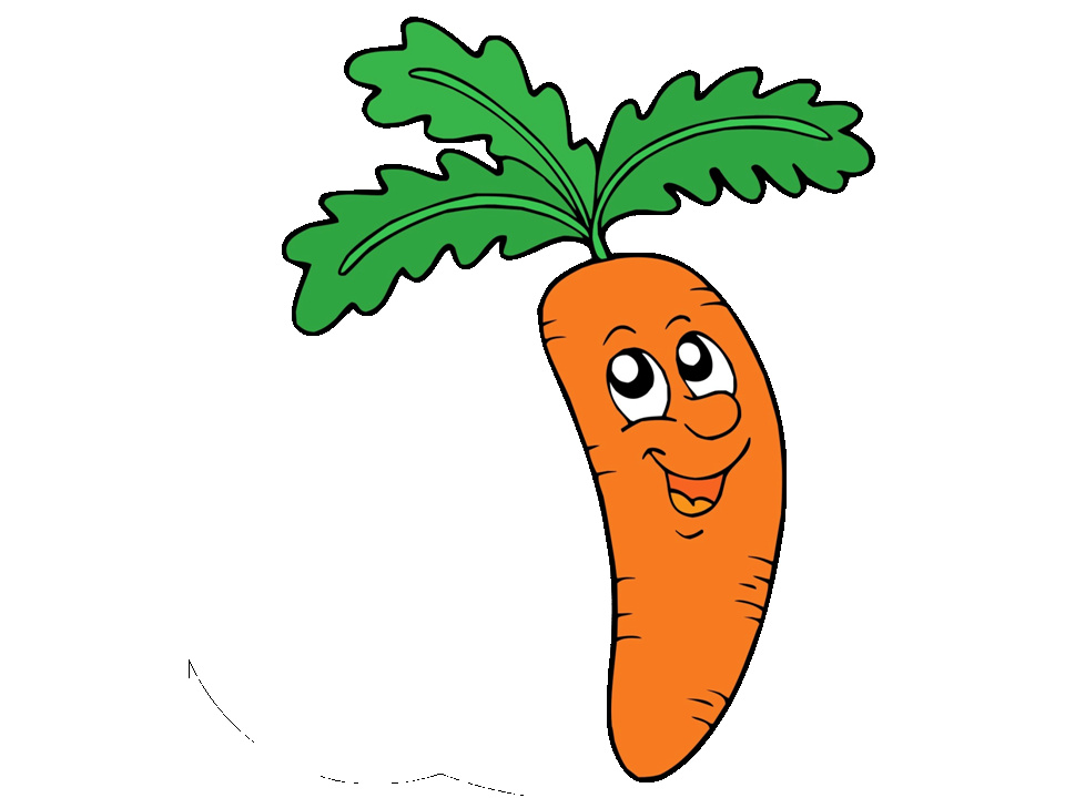 carotte clipart