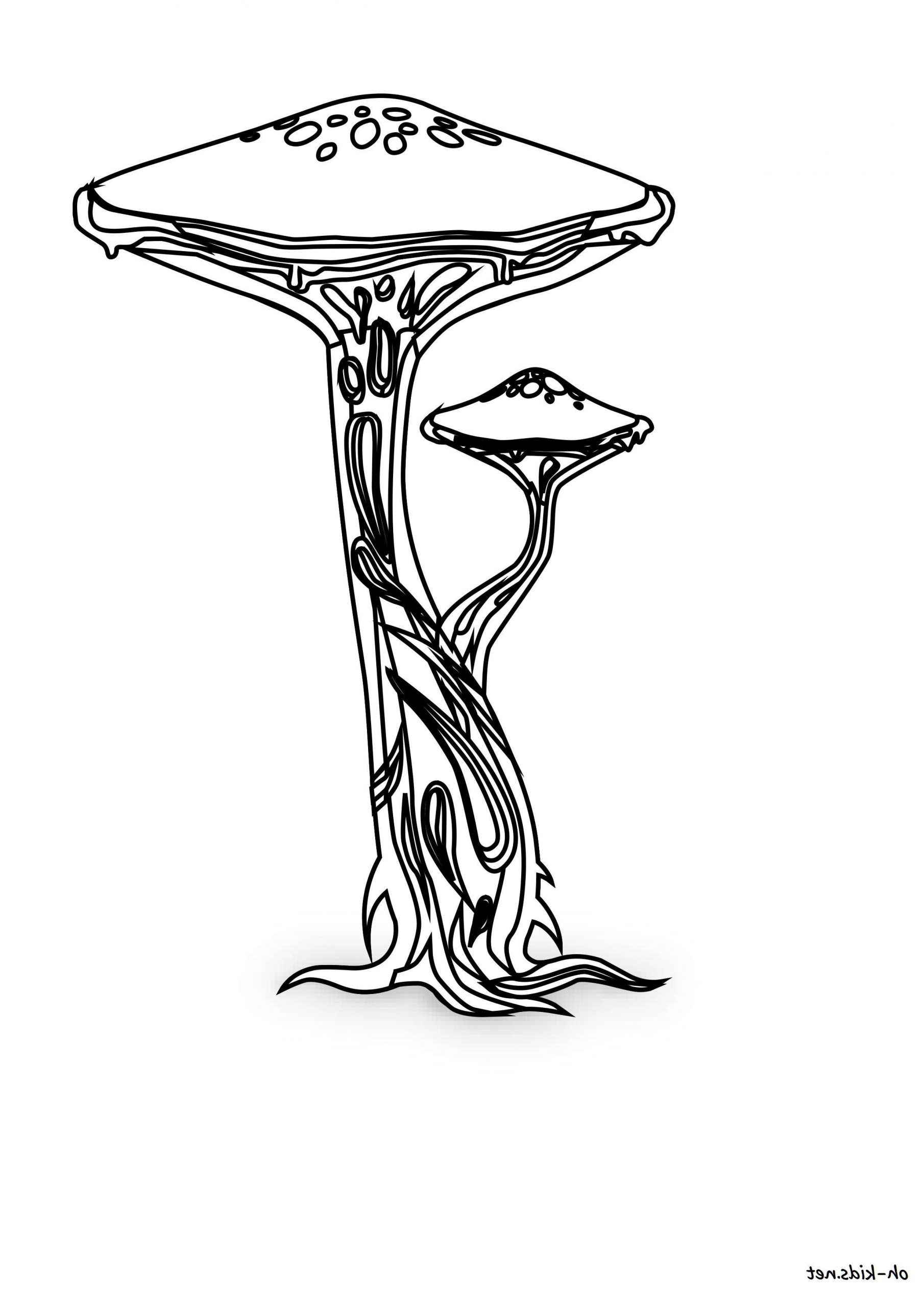 dessin champignon imprimer