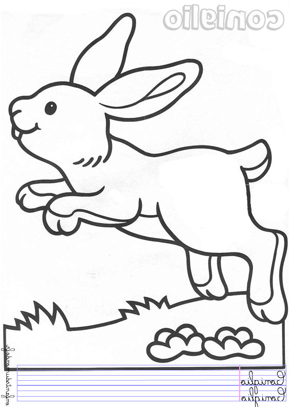 77 coloriage lapin 2
