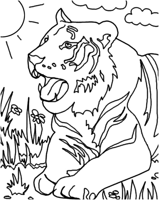 beaux dessin a colorier tigre
