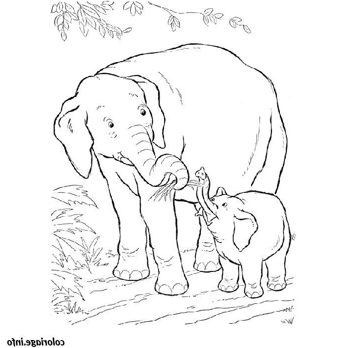 elephant savane coloriage dessin