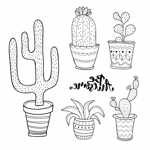 set succulente disegnato a mano e set di cactus doodle piante in pentole set di linee di arte vettoriale con piante interne casa carino