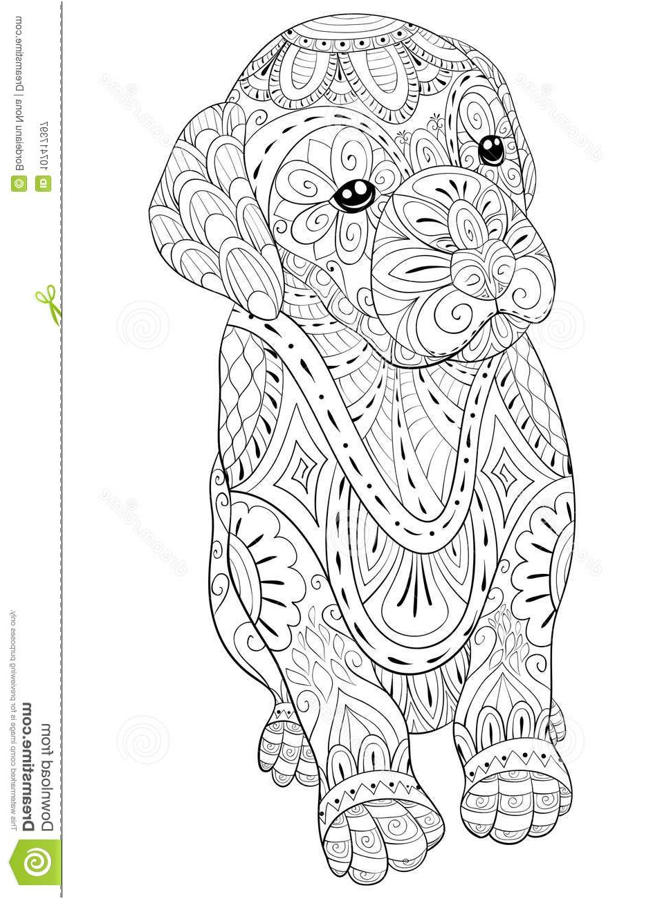 livre de coloriage adulte paginent un petit chien mignon pour la détente illustration style d art zen image