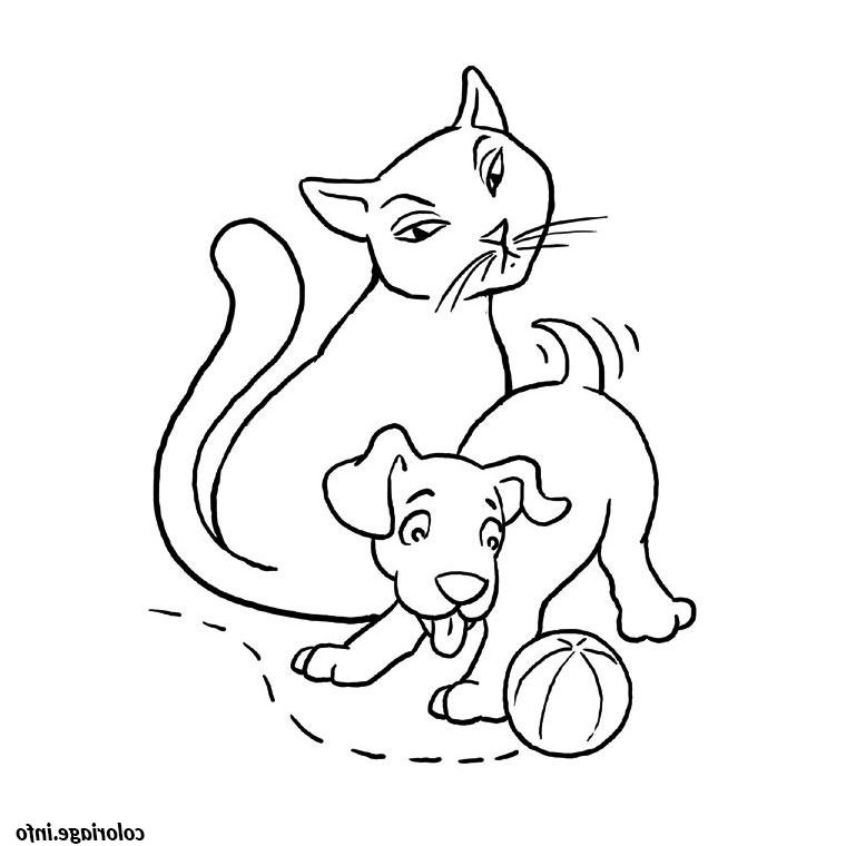 chat et chien coloriage 2155