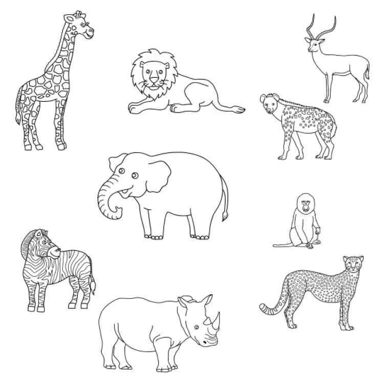 coloriage d animaux a imprimer gratuitement inspirant coloriage animaux sauvages a imprimer