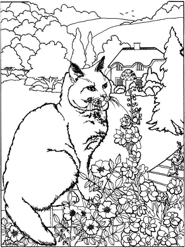 coloriage Chats 1