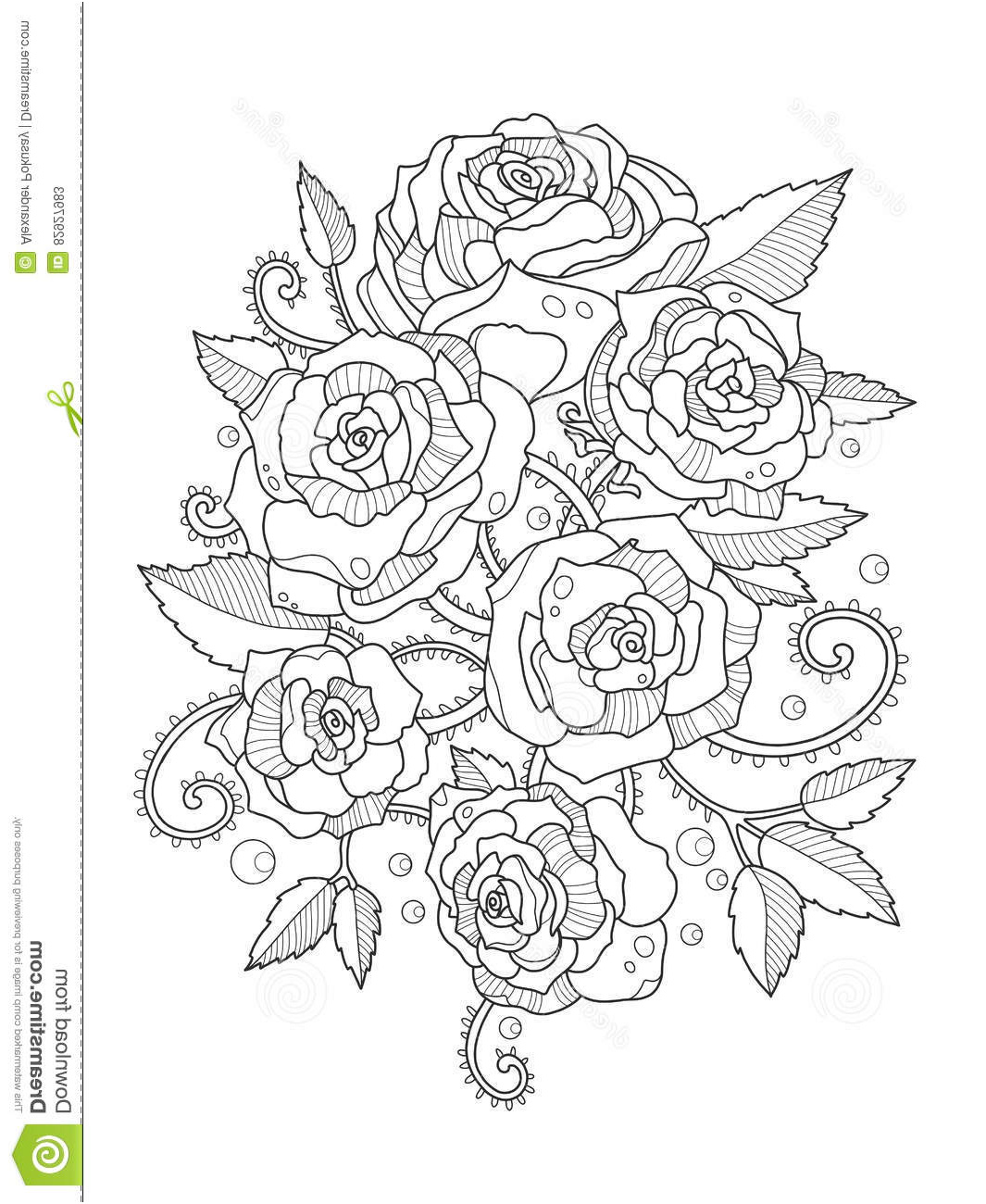illustration stock livre de coloriage de roses pour le vecteur d adultes image