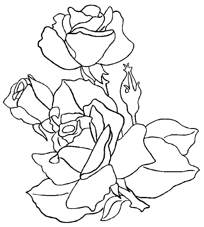 rub coloriages roses
