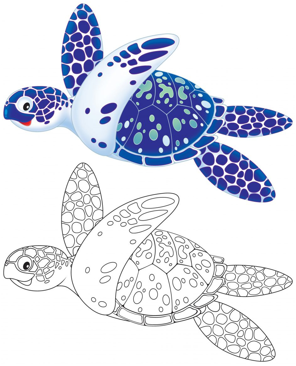 coloriage tortue marine
