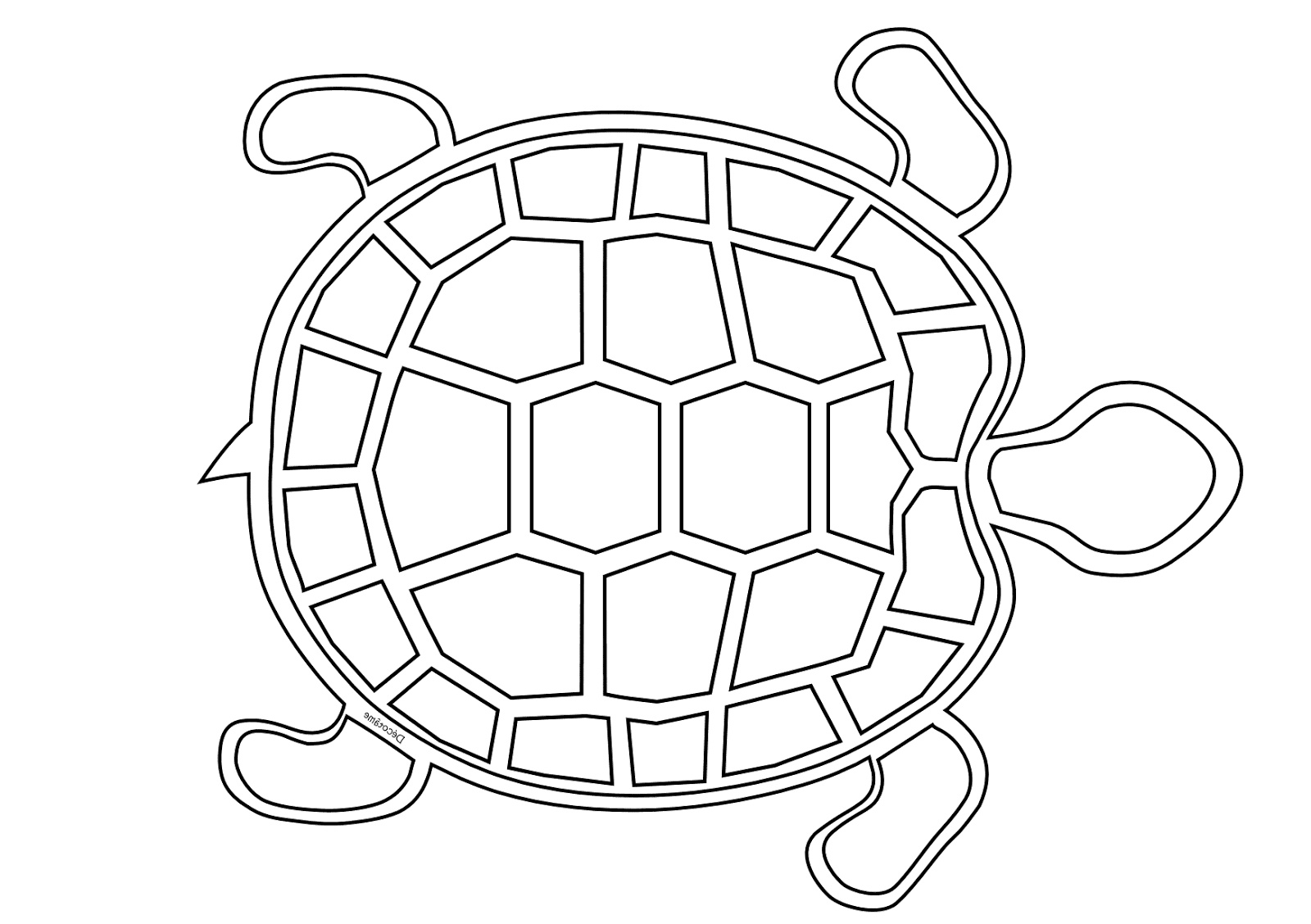 coloriage tortue