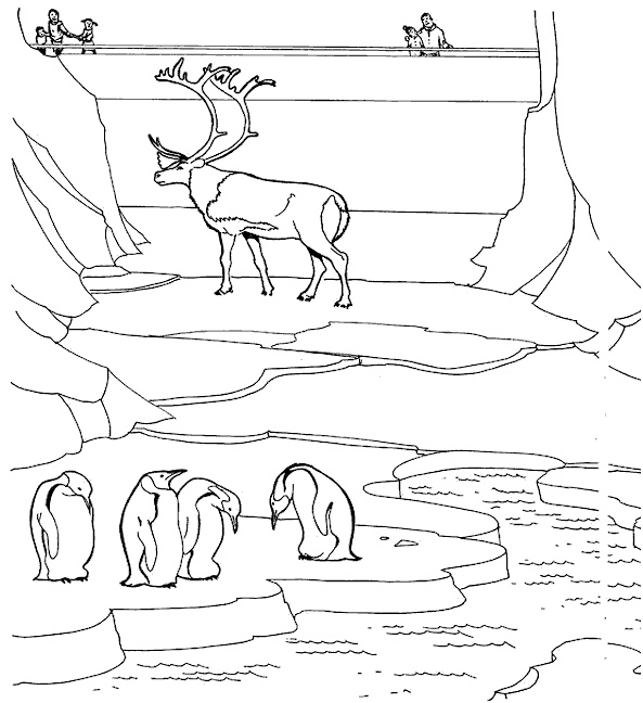 coloriage zoo