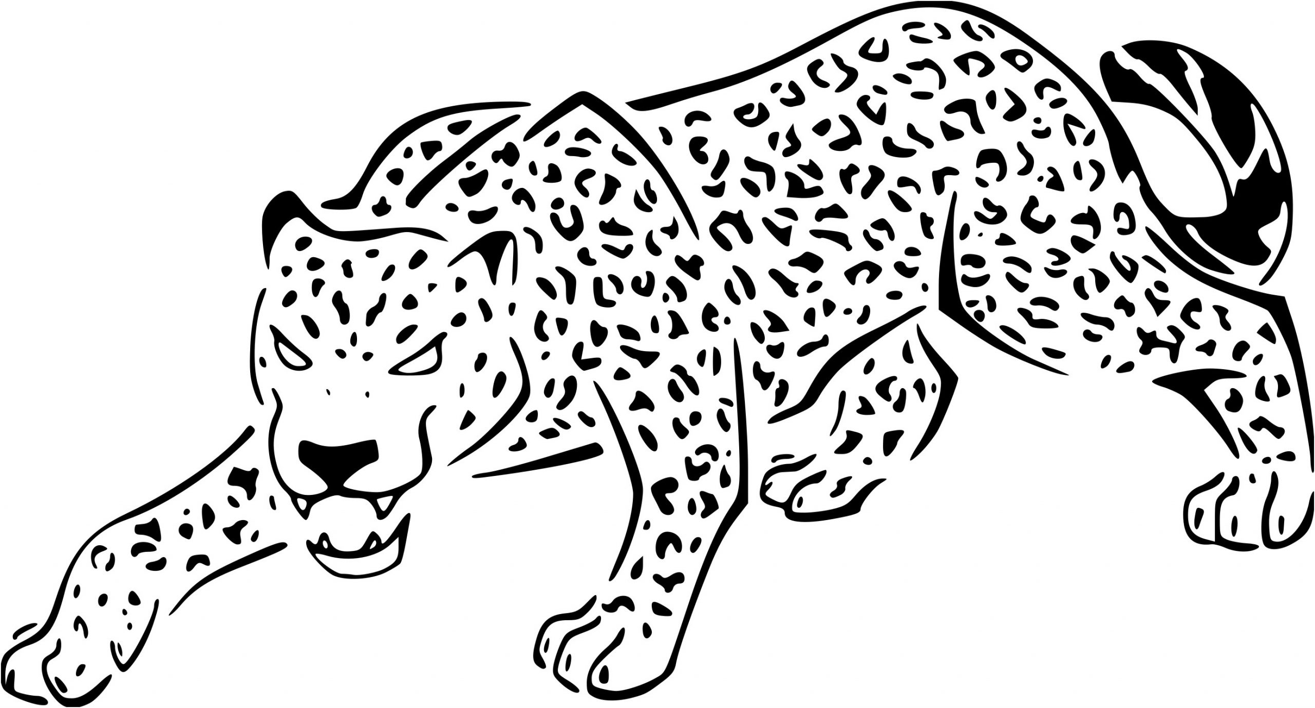 unique coloriage leopard imprimer