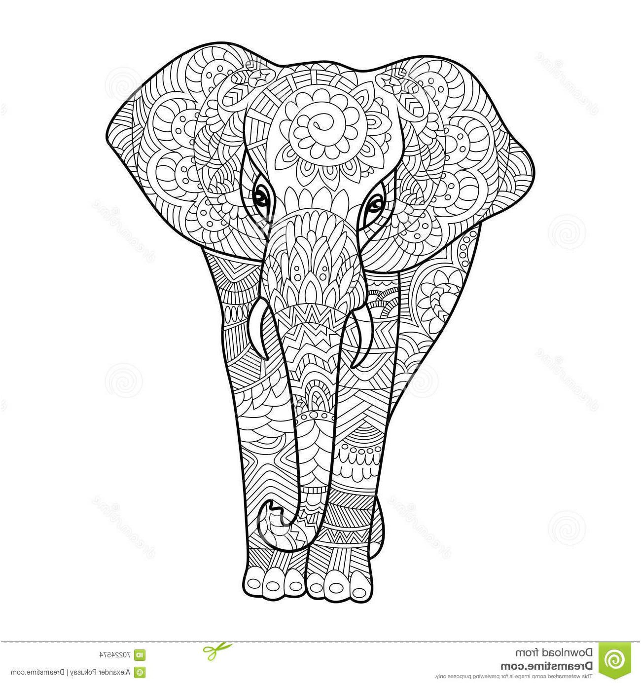 illustration stock livre coloriage d éléphant vecteur d adultes image