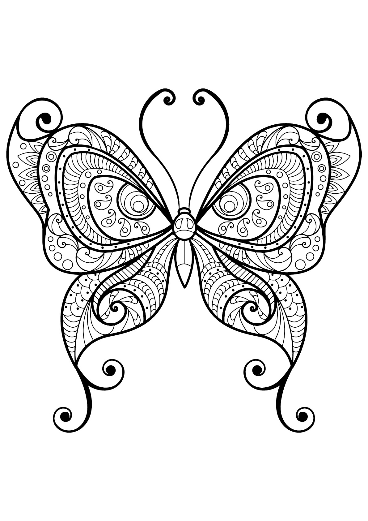 image=insectes coloring butterfly beautiful patterns 10 1