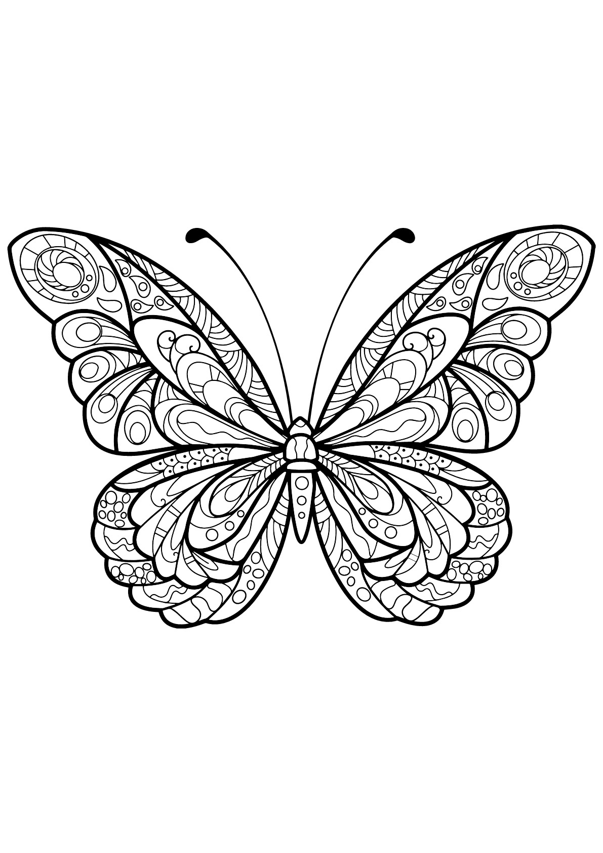 image=insectes coloriage papillon jolis motifs 5 1