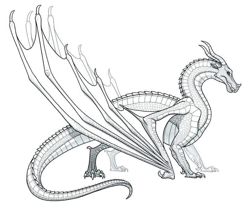 ninjago dragon drawing