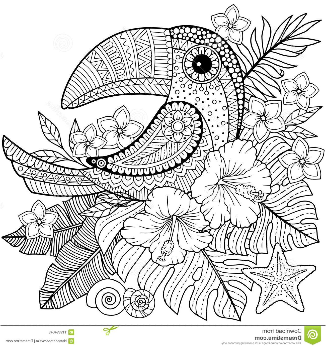 coloring book adults toucan tropical leaves flowers coloring book adults toucan tropical leaves image