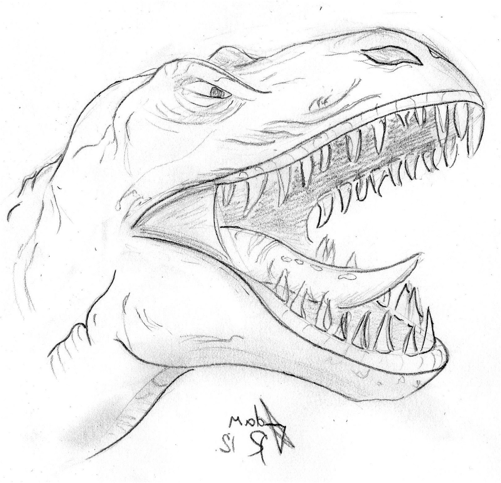 dessin a imprimer dinosaure tyrex