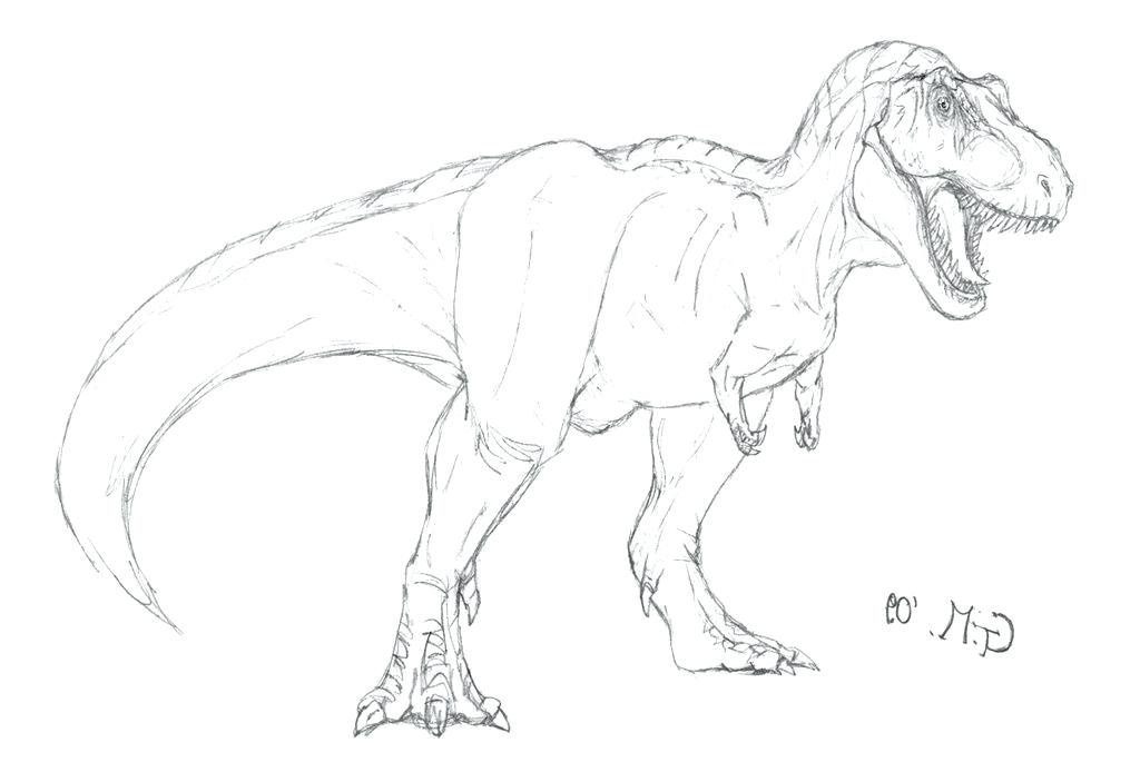 coloriage imprimer dinosaure t rex