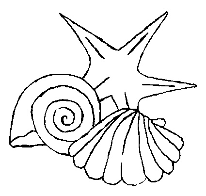 6290 coloriage coquillage 12