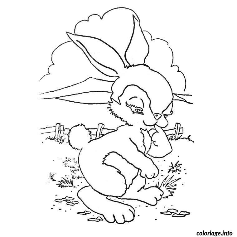 animaux lapin coloriage 68
