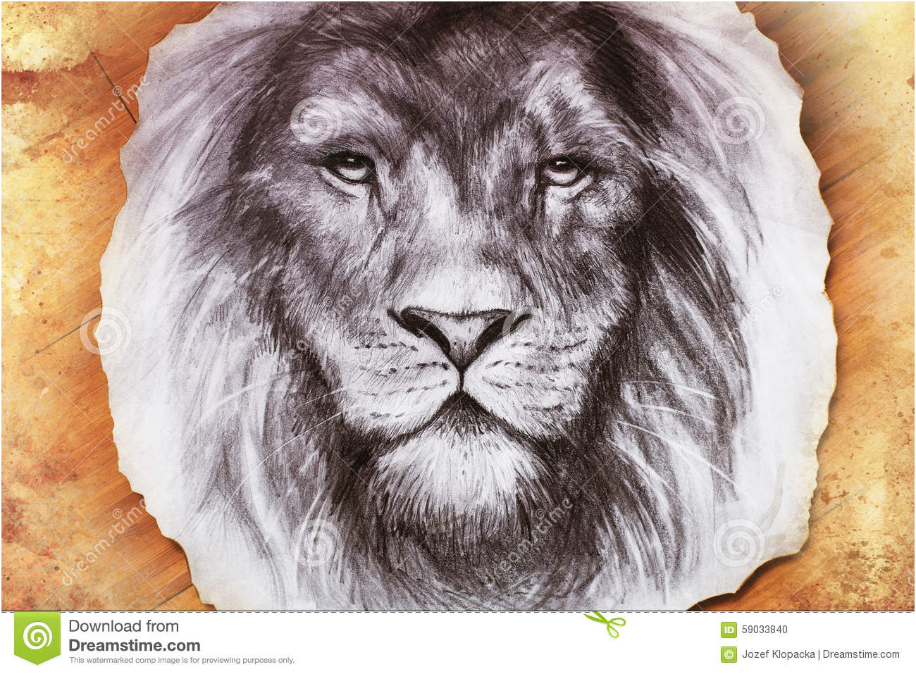 illustration stock dessin d une tête de lion avec majestueux image