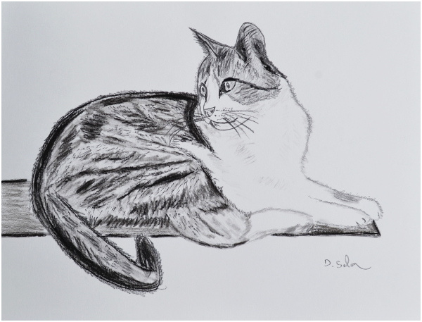 peindre et dessiner des chats