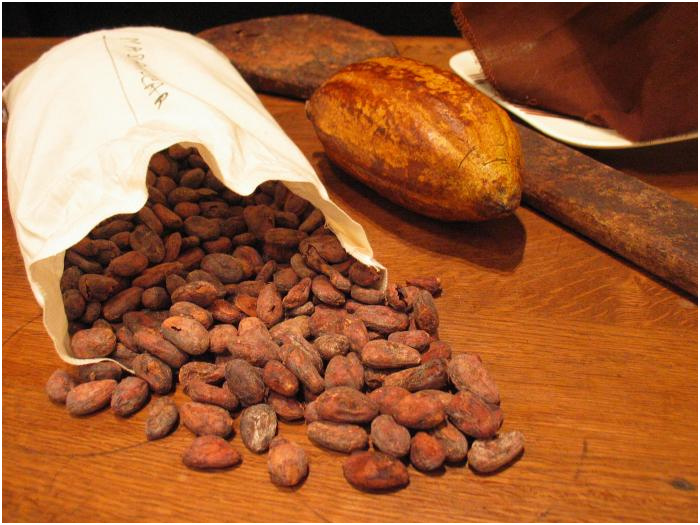 3006 fiche 1118 Fermentation des feves de cacao