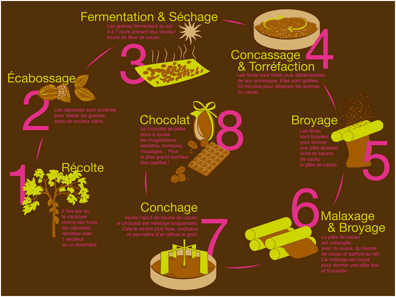 b production mondiale du chocolar