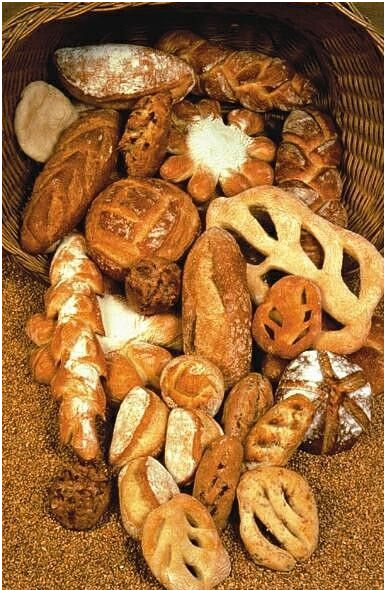 histoire du pain la fabrication du pain