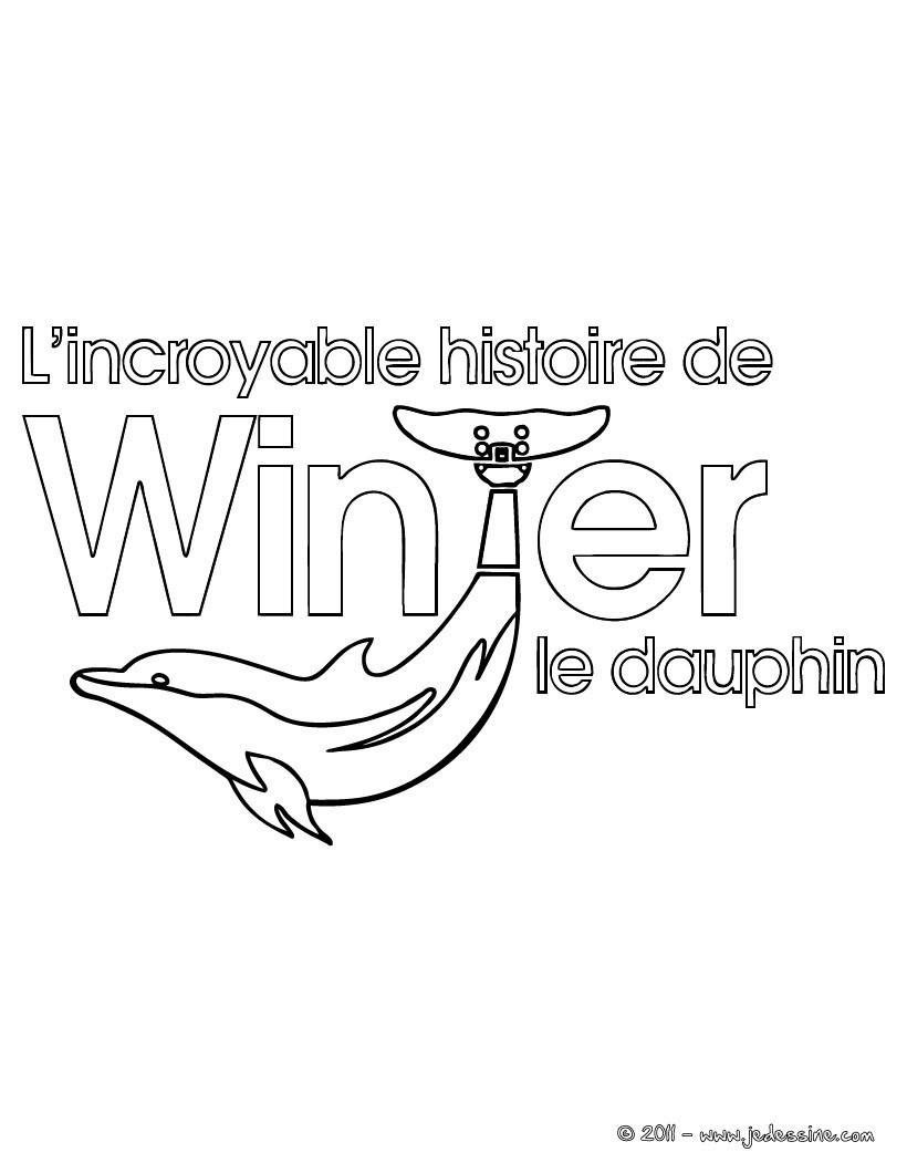 logo winter le dauphin