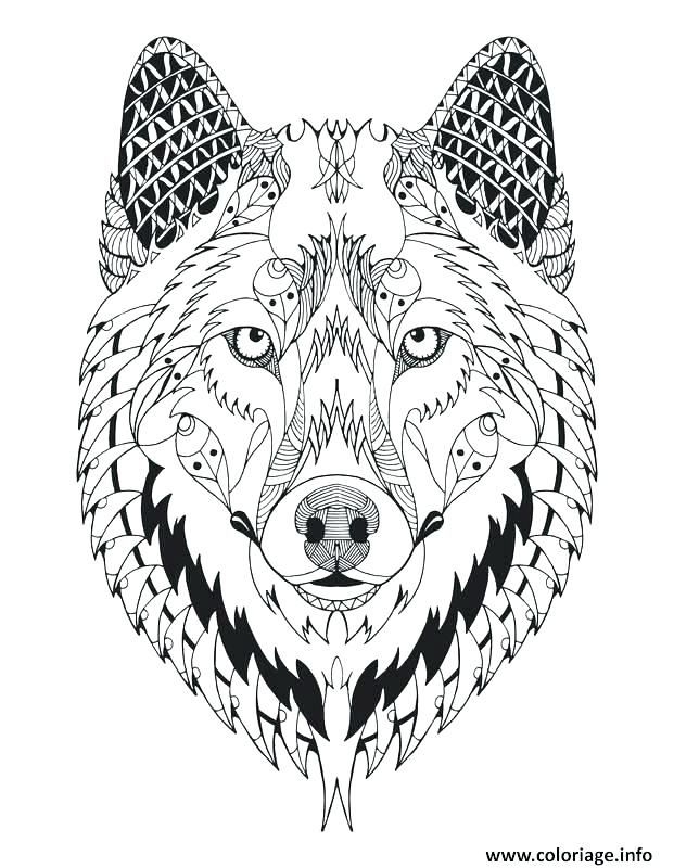 dessin a imprimer animaux coloriage mandala magnifique loup animal adulte hugo lescargot gratuit de l