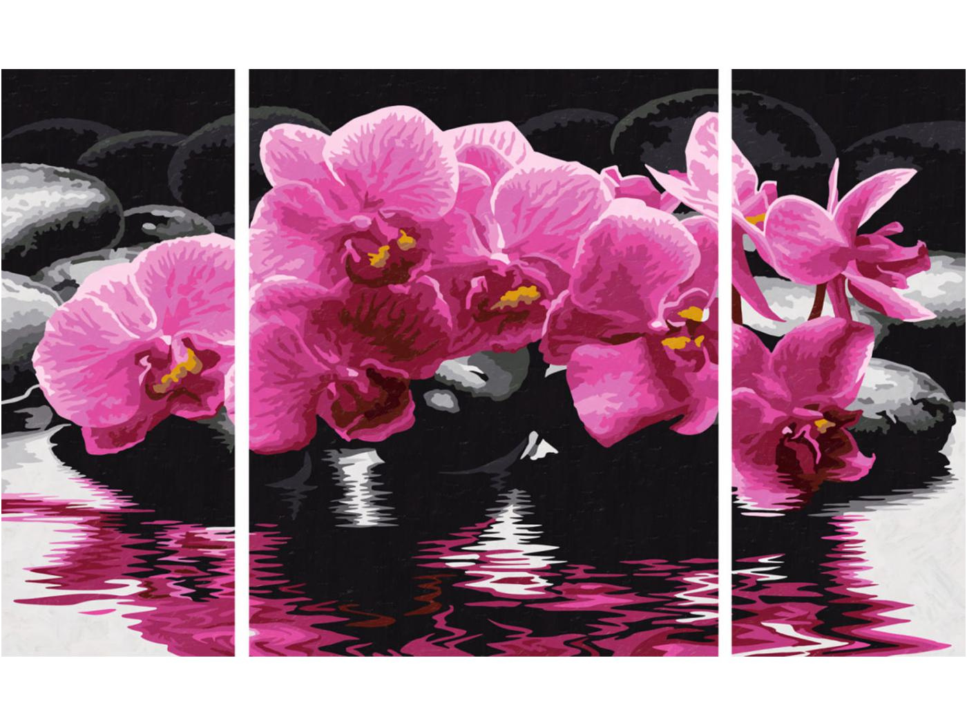 peinture aux numeros orchidees cadre 50 80