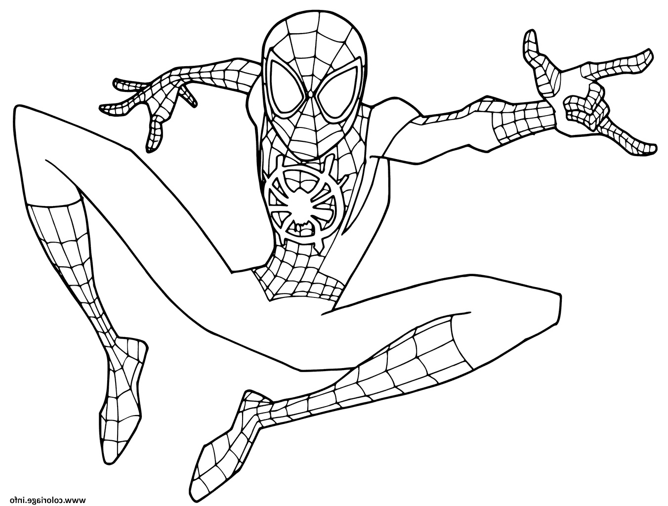 young spider man coloriage dessin
