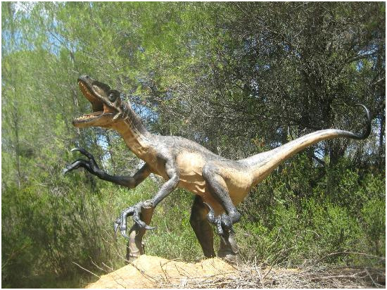 Attraction Review g d Reviews Musee Parc des Dinosaures Meze Herault Languedoc Roussillon