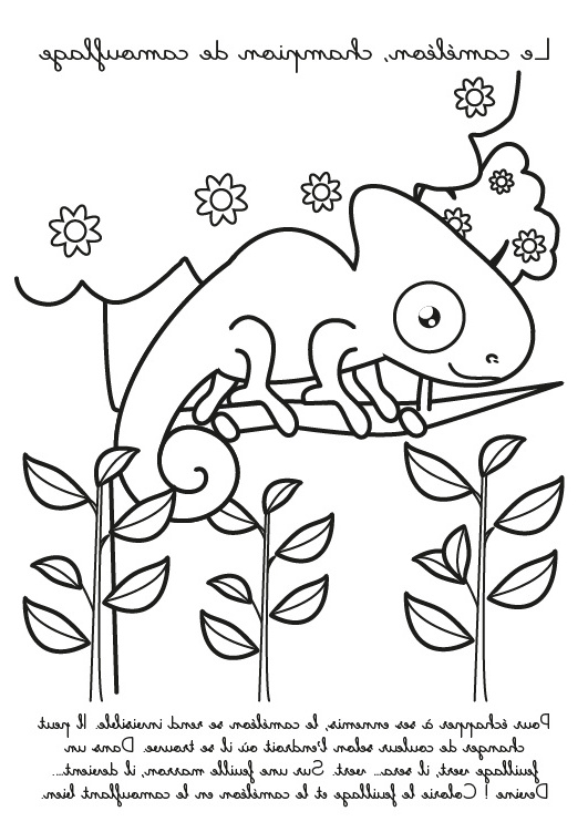 14 aimable coloriage cameleon photograph
