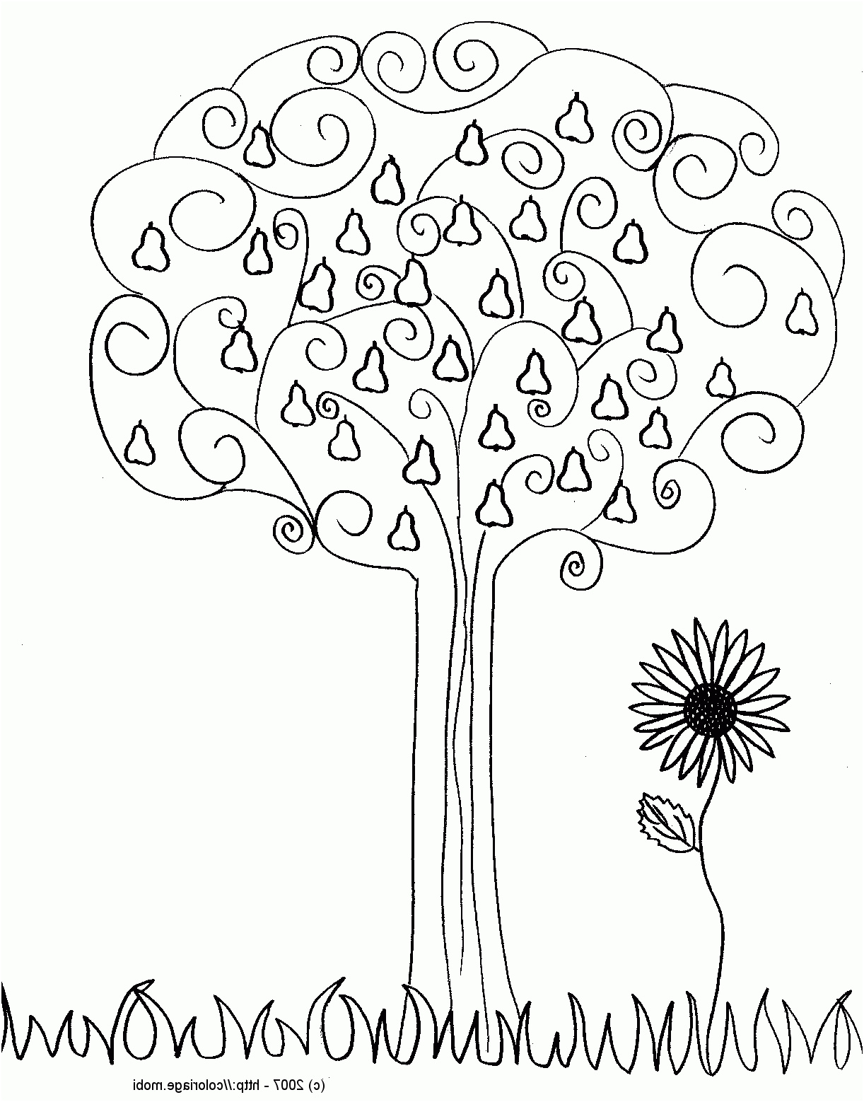 dessin arbre printemps