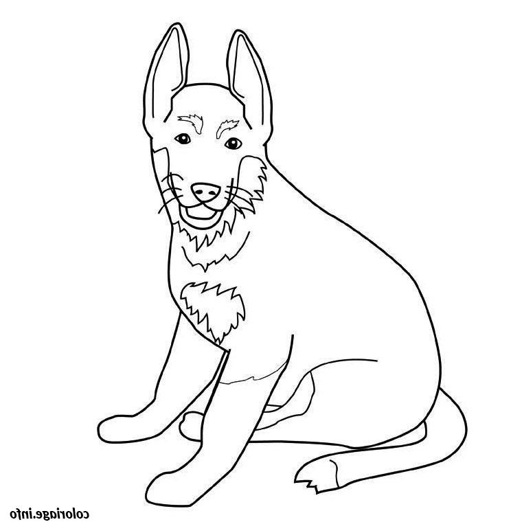chien berger allemand coloriage 2171