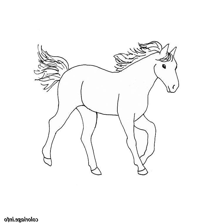 cheval coloriage 283