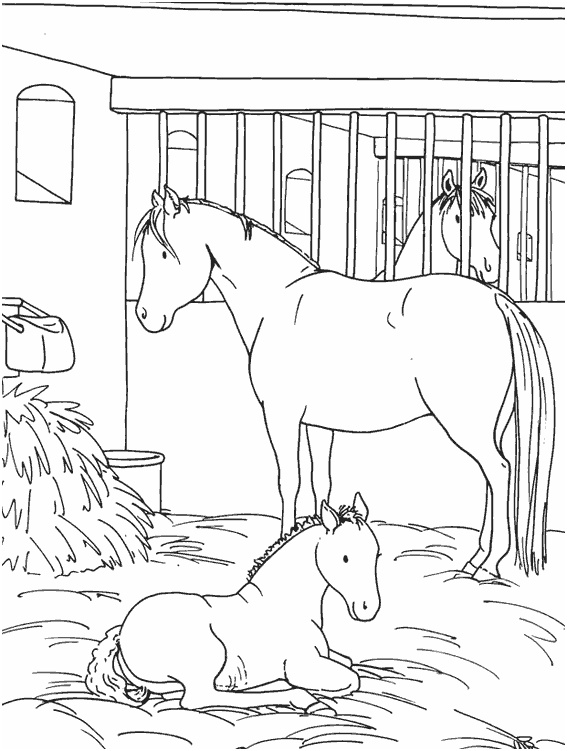 coloriage equitation cheval