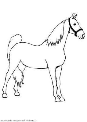 coloriage cheval simple