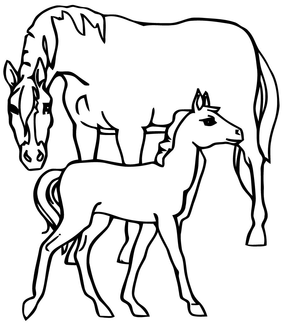 coloriage le cheval