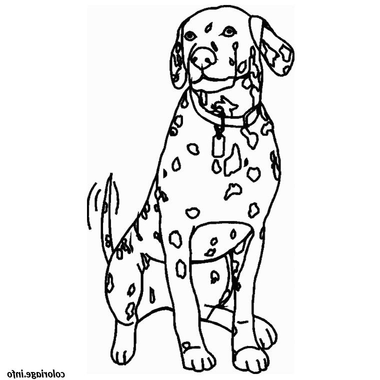 chien dalmatien coloriage 2159