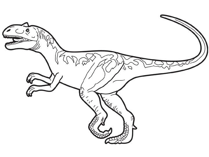 coloriage dinosaure rex a imprimer