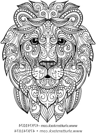 hand drawn doodle zentangle lion illustration